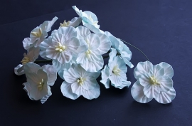 Hydrangea's Turquoise/wit 10 st.4 cm