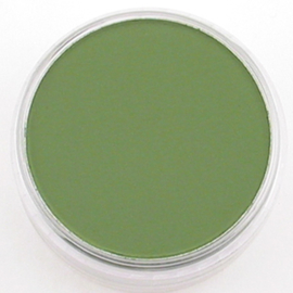 PanPastel PP Chromium Oxide Green CF-PP26605