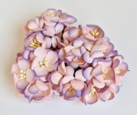 Cherry paars/roze 5 st. 2,5 cm