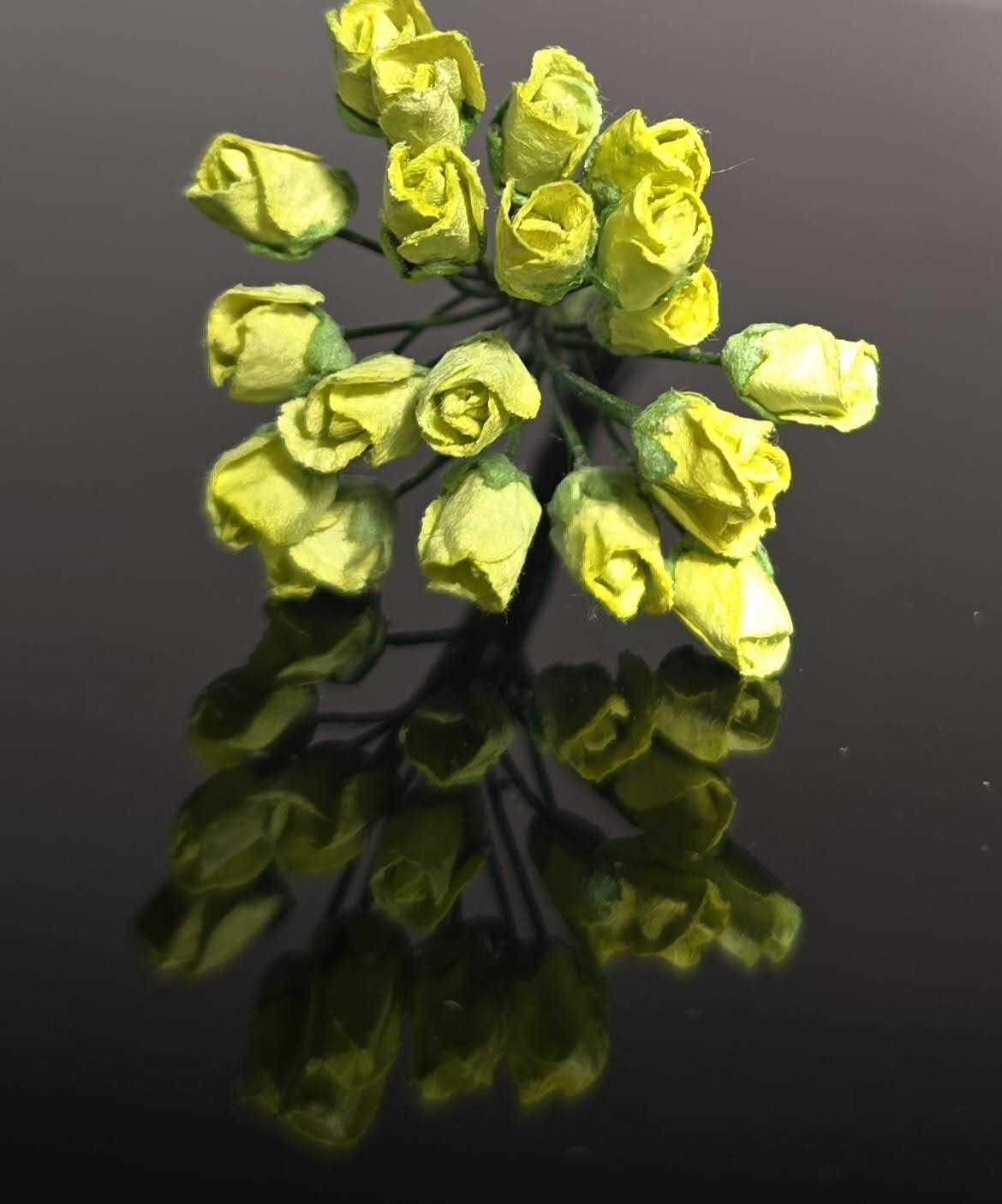 Rose bud citroen groen