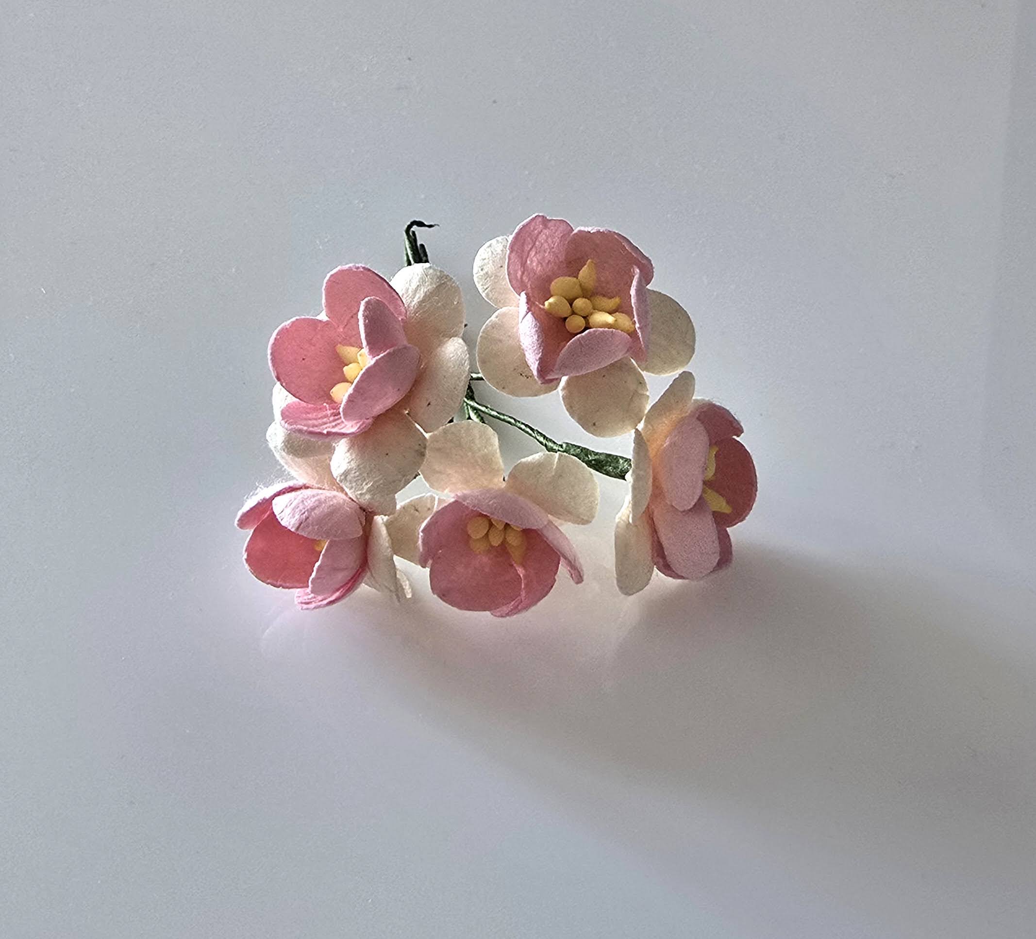 Cherry wit/rose 5 stuks  2,5 cm