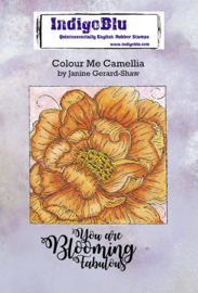 IndigoBlu Colour Me Camellia A6 Rubber Stamp (IND0748)