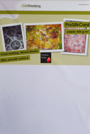 CraftEmotions ProSilkCard - luxe glad karton wit 10 vl A4 - 300 gr 000239/0301