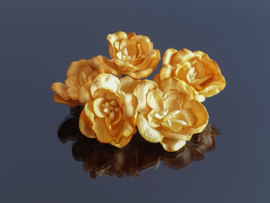 Lotus Caramel 3,5 cm 5 stuks