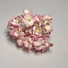 Sweetheart  rose/wit 10 st. 1,5 cm