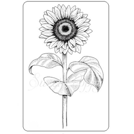 Sweet Poppy Stencil: Sunflower Stamp SPSTMP_SUNFLOWER