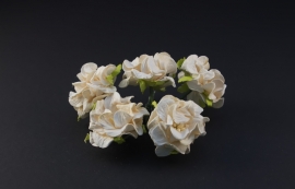 Gardenia cream