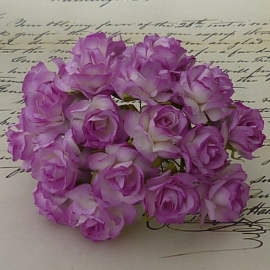 Wilde roos paars/wit  2,5 cm 5 stuks