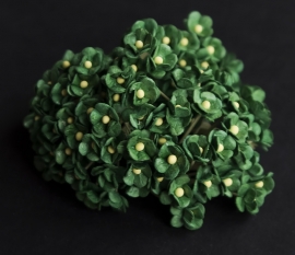 Mini Sweetheart blossoms mosgroen