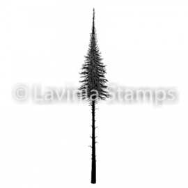 Fairy Fir Tree (small) LAV489s