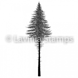 Fairy Fir Tree 2 LAV477