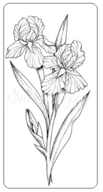 Sweet Poppy Stencil: Iris Stamp SPSTMP_IRIS