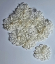 Kanten bloem Ivoor 10 st. 5 cm