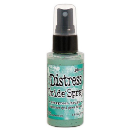 Ranger Distress Oxide Spray - Evergreen Bough TSO67672Tim