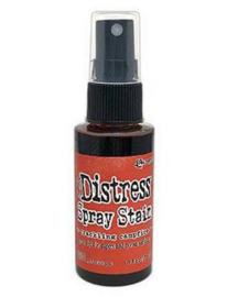 Distress Stain Spray - Crackling Campfire TSS72348