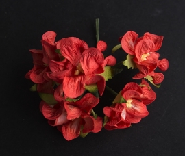 Gardenia rood