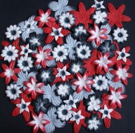 Flower 60 rood/zwart