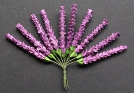 Wild Heather paars