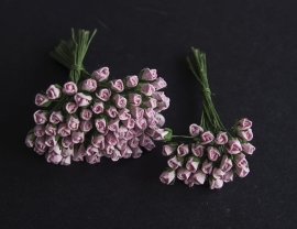 Roosbud roze