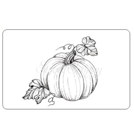 Sweet Poppy Stencil: Pumpkin Stamp  SPSTMP_PUMPKIN