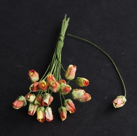 Rose bud rood/groen