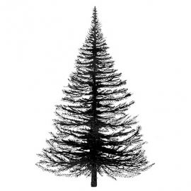 Fir Tree LAV022