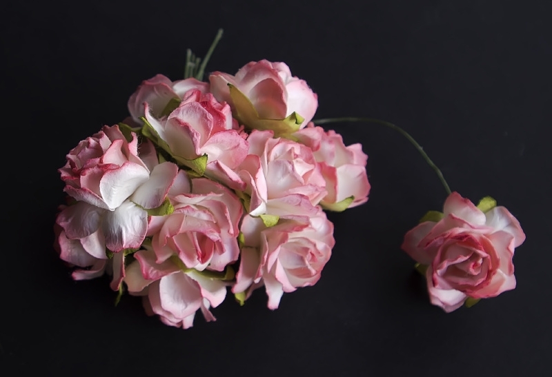 Wilde roos tweekleurig roze 2,5 cm 5 stuks