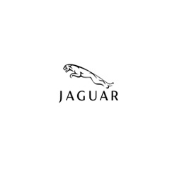 Jaguar Horlogeband Origineel