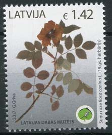 Letland, michel 1009, xx