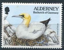 Alderney, michel 82, xx