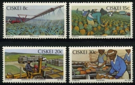 Ciskei, michel 26/29,xx