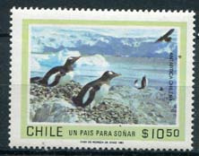 Chili, michel 950, xx