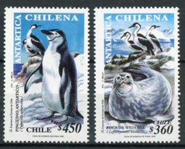 Chili, michel 1894/95, xx