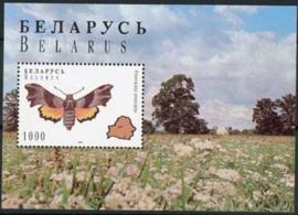 Belarus, michel blok 7, xx