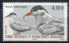 Antarctica Fr., michel 887, xx