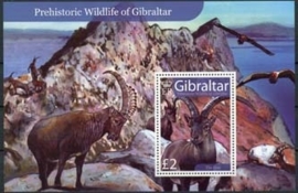 Gibraltar, michel blok 80, xx