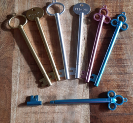 Set van 3 sleutelpennen