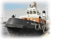 BUGSIER 14  020 117