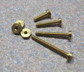 Cylinder head screw M1 x 4 mm (25 stuks)