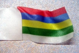 Vlag "TERSCHELLING" 400 008