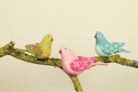 EQP SONGBIRDS