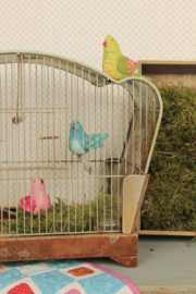 EQP SONGBIRDS