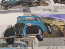 Bert - Digitale print - Cars and oldies ( per 10cm)