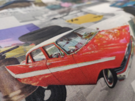 Bert - Digitale print - Cars and oldies ( per 10cm)