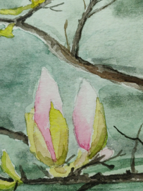 "Magnolia" Aquarel 24 X 30 cm