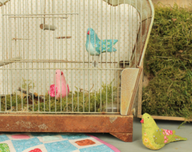 EQP SONGBIRDS