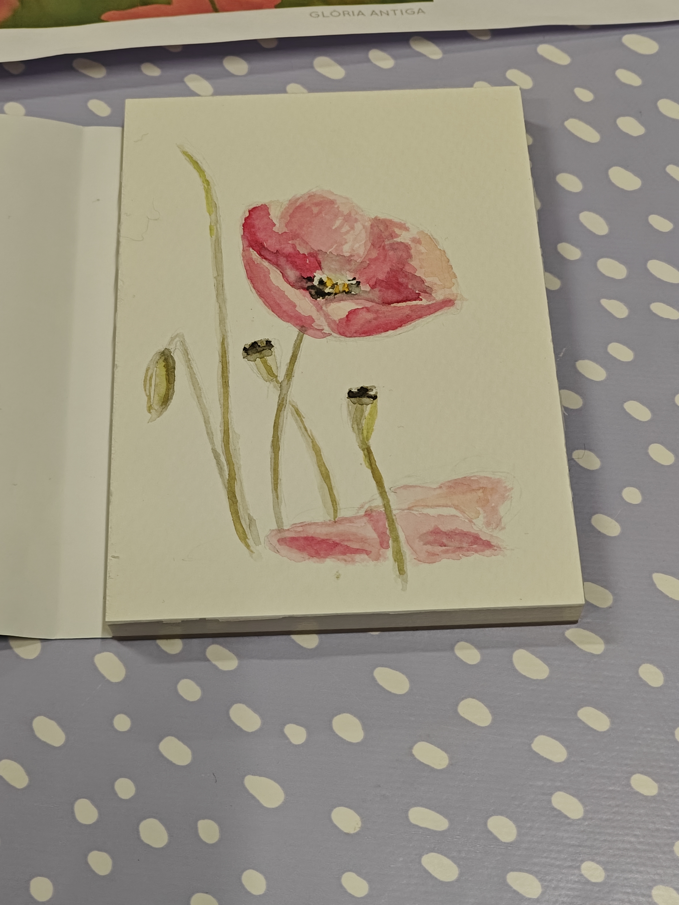 Aquarel thema namiddag  "bloemen schilderen" donderdag  6 november van 14 tot 17 uur
