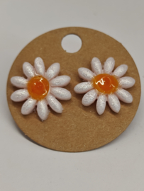 Oorsteker zomerse margrietjes