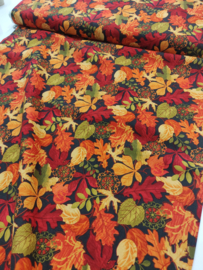 Studio Fabrics - Autumn Abundance