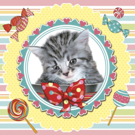 8362 Sweet kitten